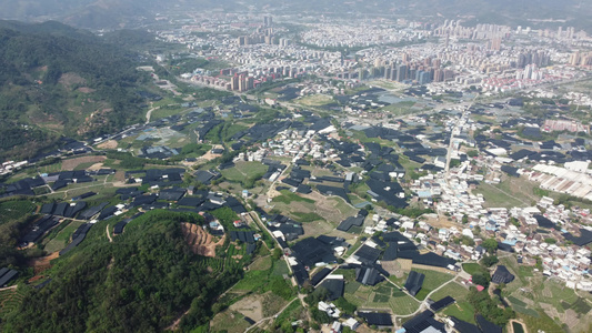 航拍福建最大的兰花基地 南靖视频