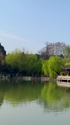 实拍5A级景区扬州瘦西湖视频合集扬州旅游87秒视频