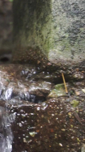 水渠流水升格视频慢镜头43秒视频