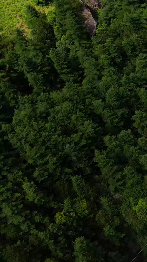 峡谷缆车索道森林航拍感通索道18秒视频