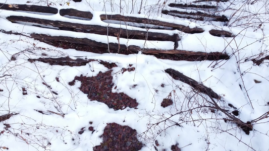 冬季森林树木积雪航拍合集视频