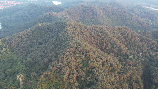 山地丛林航拍视频