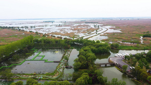 航拍5A景区洪泽湖湿地自然保护区景点水生植物园视频50秒视频