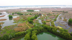 5A宿迁洪泽湖湿地国家级自然保护区景点芙蓉湾视频51秒视频