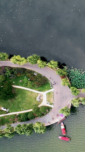 航拍绿意葱葱的湖心小岛自然环境视频素材湖心岛25秒视频