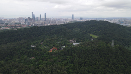 广西南宁青秀山5A景区视频