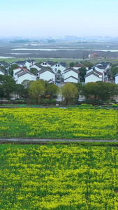 航拍江南油菜花田江南建筑视频