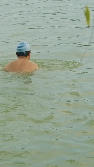 炎炎夏日游泳健身民众生活45秒视频