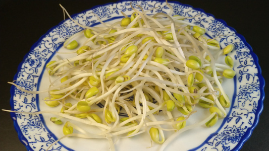 绿色豆芽有机蔬菜视频