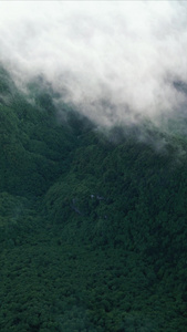 航拍自然风光大山峡谷视频