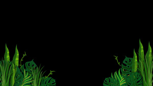 卡通边框植物生长透明动态素材20秒视频