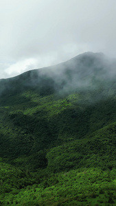 航拍湖北神农架神农顶景区视频