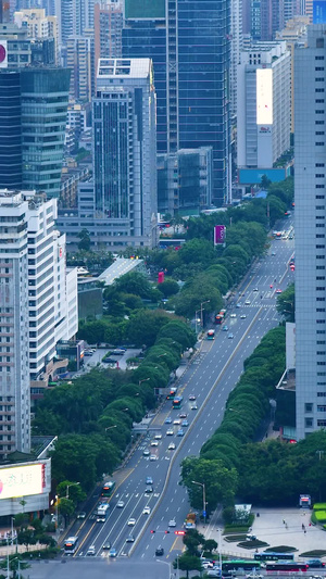 深圳深南东路道路交通深圳罗湖区15秒视频