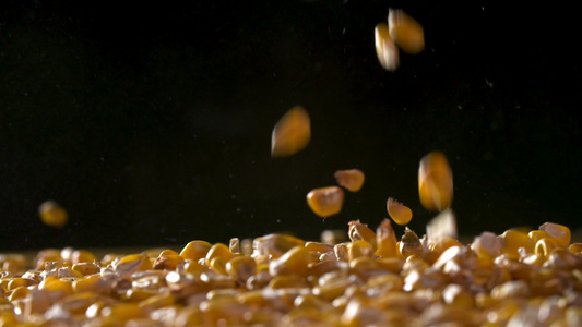 玉米粒掉落高速摄影视频
