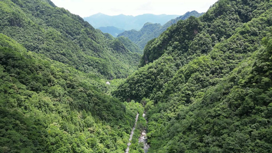 航拍湖北神农架官门山5A景区视频