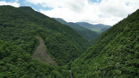 航拍湖北神农架官门山5A景区视频