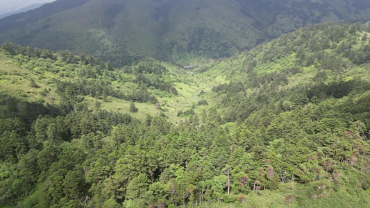 航拍湖北神农架神农顶景区视频