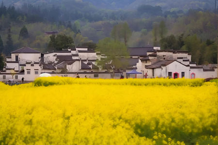 安徽西递古村落油菜花视频