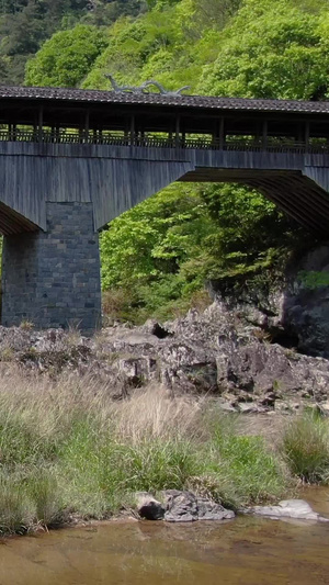航拍5A景区白水洋历史古建筑双龙桥视频旅游度假78秒视频