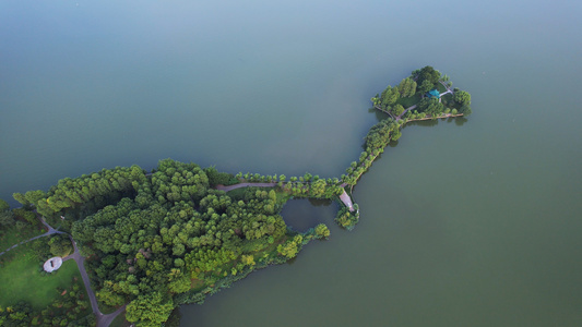 航拍湖北5A级旅游景区东湖风景区地标名胜4k素材视频