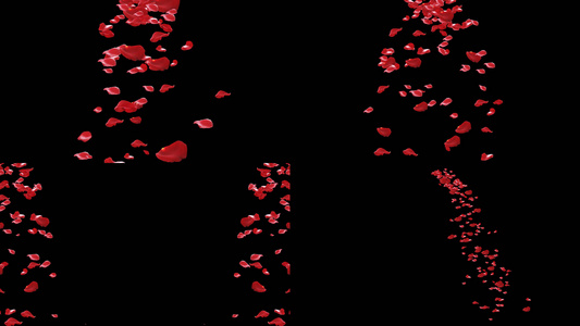 一组红色下落扩散粒子花瓣动画视频