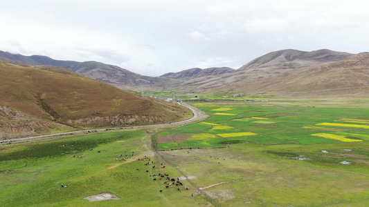 航拍西藏高原视频