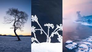 景区冬天雾凇树挂风景雪景风光雪玲9秒视频
