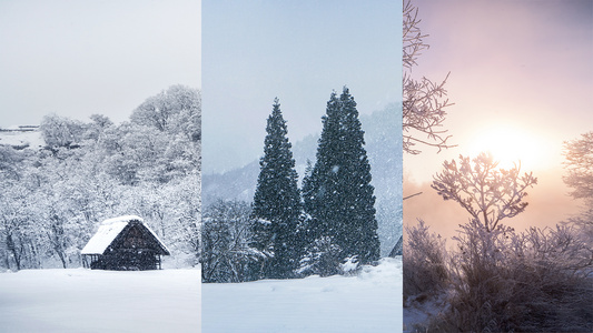 冬季冬天山村村庄雾凇山脚下皑皑白雪森林小屋视频