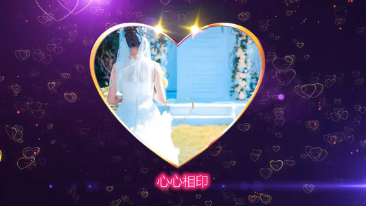 相册模板PRCC2017浪漫心形花瓣汇聚婚礼相册展示模板视频