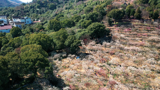 4K航拍苏州著名旅游景点香雪海景区视频