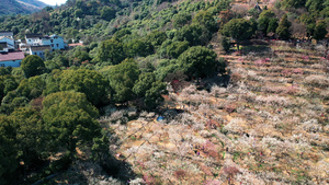 4K航拍苏州著名旅游景点香雪海景区29秒视频