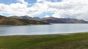 西藏高原湖泊放牧羊群航拍视频46秒视频