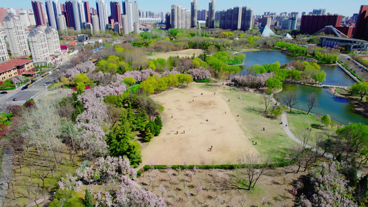 天津现代化城市公园绿地休闲生活视频