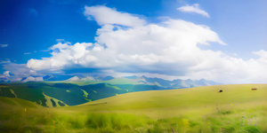 新疆喀拉峻草原美景4秒视频