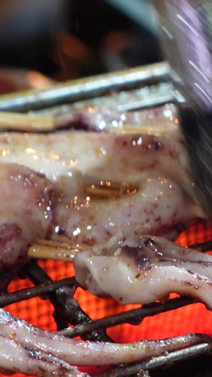 美食宵夜海鲜烧烤鱿鱼素材美食素材53秒视频