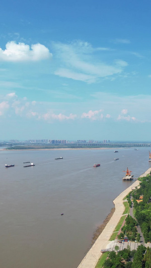 航拍城市蓝天白云晴朗天空长江江景江滩公园绿化广场素材城市素材58秒视频
