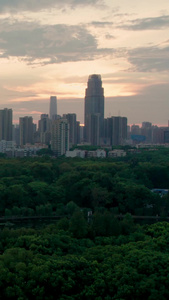 航拍晚霞下的东湖碧潭观鱼景区和城市建筑的融合5A景区视频