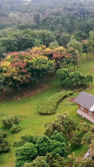 北欧建筑风格风景拍摄小木屋18秒视频