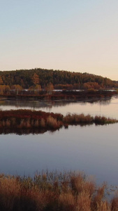 航拍清晨大兴安岭原始森林中的湖泊自然风光视频