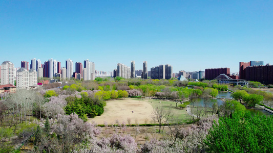 天津现代化城市公园绿地休闲生活视频