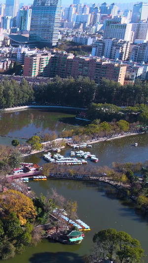 昆明城市翠湖公园人居环境海鸥风光航拍风景区53秒视频