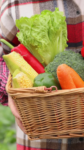 展示收获的蔬菜农家菜视频