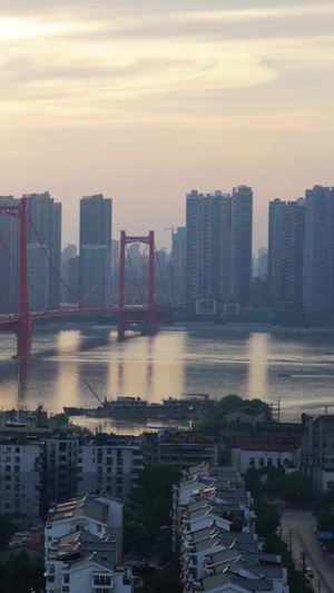 武汉鹦鹉洲长江大桥延时城市风光6秒视频