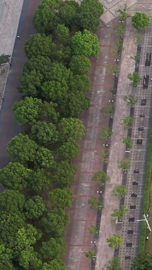 航拍城市夏天游泳池游泳运动健身减肥休闲娱乐素材游泳素材65秒视频