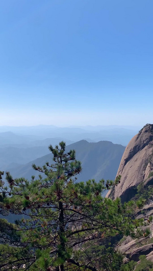黄山风景区最高峰莲花峰竖版视频旅游目的地56秒视频