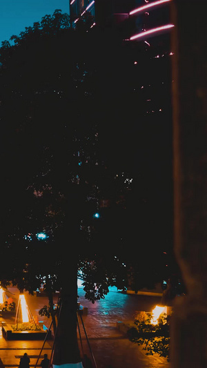 东门口城墙上延时摄影夜景人流泸州老窖12秒视频