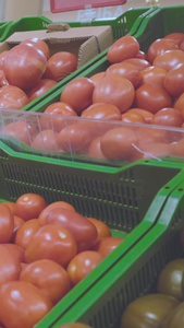 超市蔬菜挑选采购西红柿视频