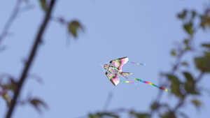 春天蓝天下的燕子风筝11秒视频