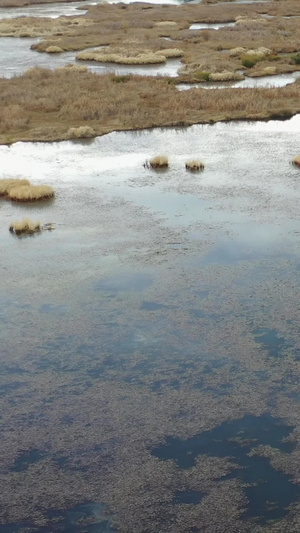 四川凉山泸沽湖草海风光4A景点39秒视频