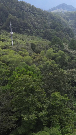 5a景区万盛石林桃花岛香炉峰57秒视频